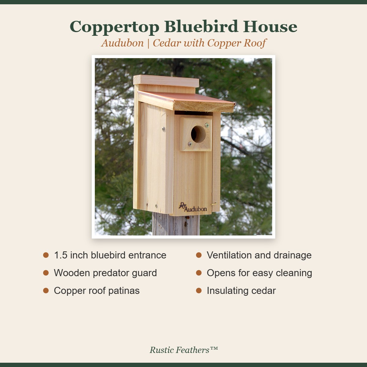 Coppertop bluebird house features: 1.5 inch entrance, predator guard, copper roof, ventilation, easy cleaning