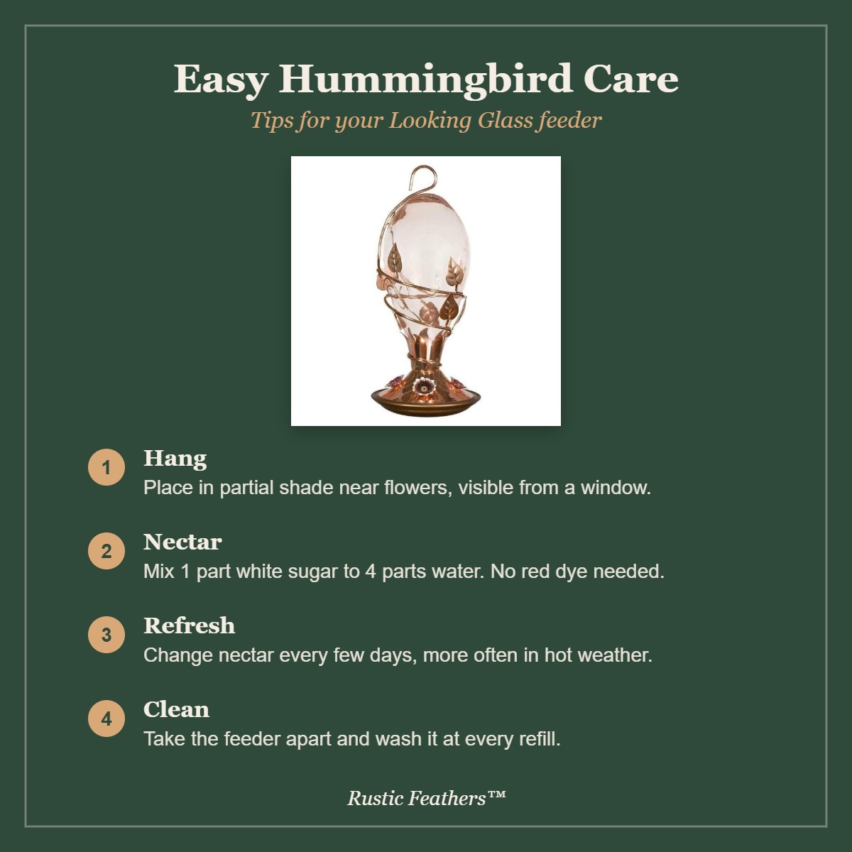 Hummingbird care tips: hang in partial shade, 1 to 4 nectar, refresh often, clean at every refill
