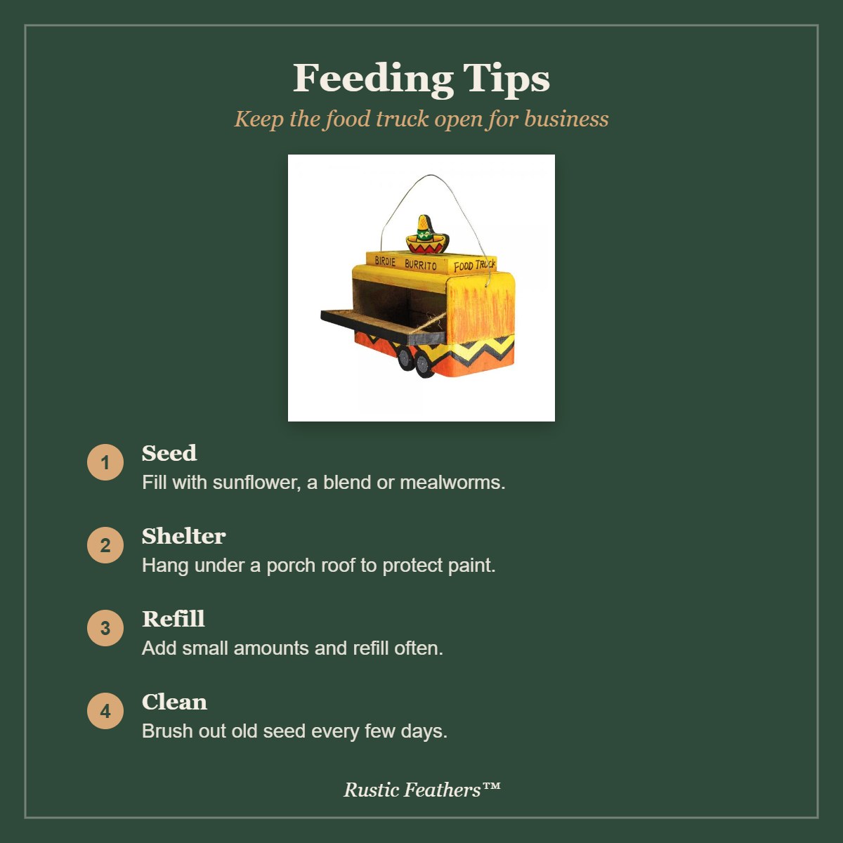 Feeding tips for the Birdie Burrito food truck feeder