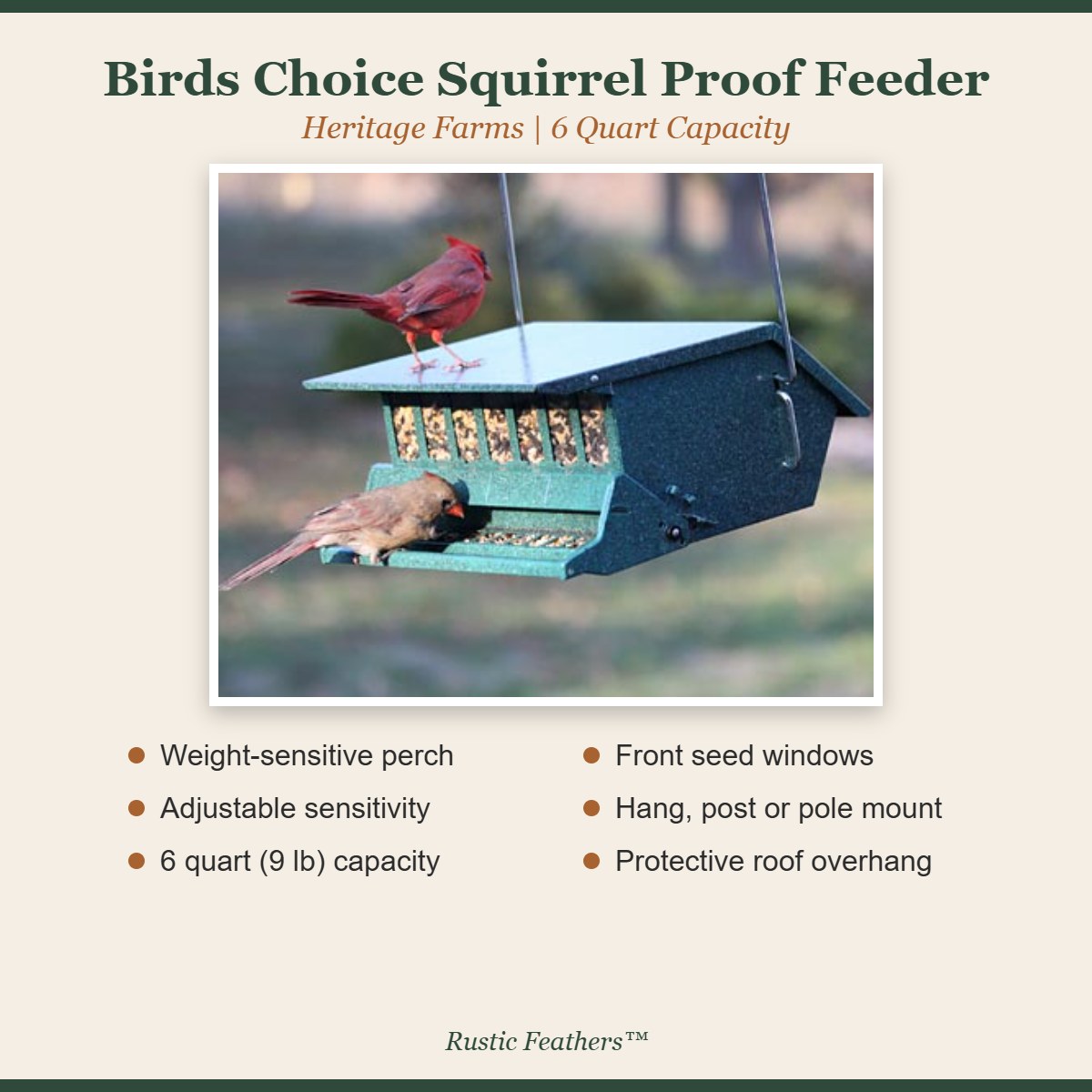 Birds Choice squirrel proof feeder features: weight-sensitive perch, adjustable, 6 quart, seed windows, flexible mounting