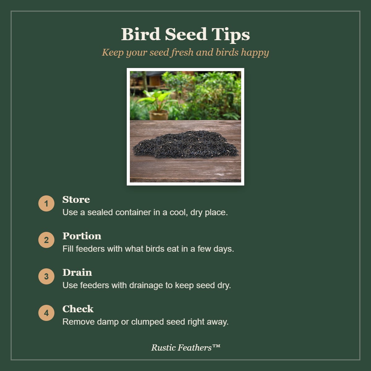 Bird seed tips: storage, portions, drainage and freshness