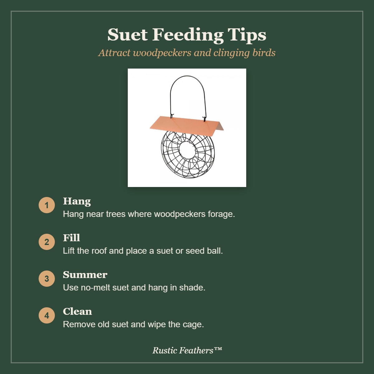 Suet feeding tips: hang near trees, fill, summer care and cleaning
