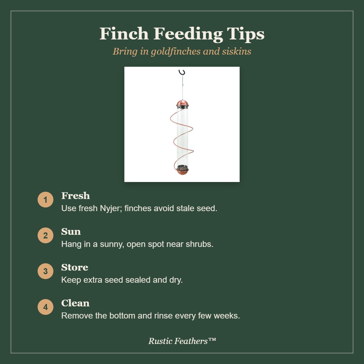 Finch feeding tips: fresh seed, sunny spot, storage and cleaning