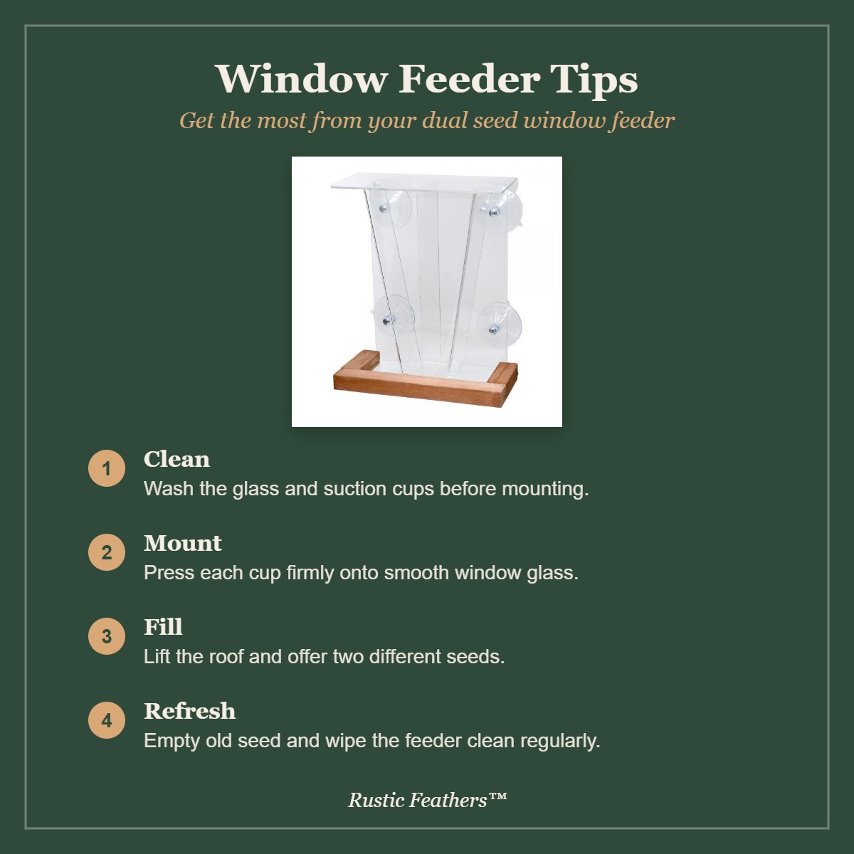 Window bird feeder tips: clean, mount, fill with two seeds and refresh regularly