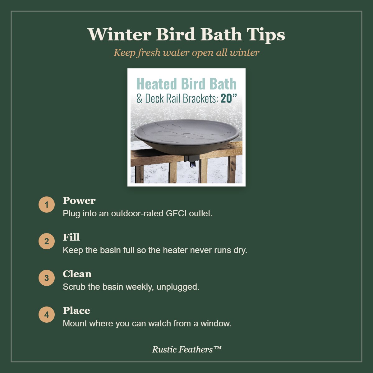Winter bird bath tips: power, fill, clean and placement