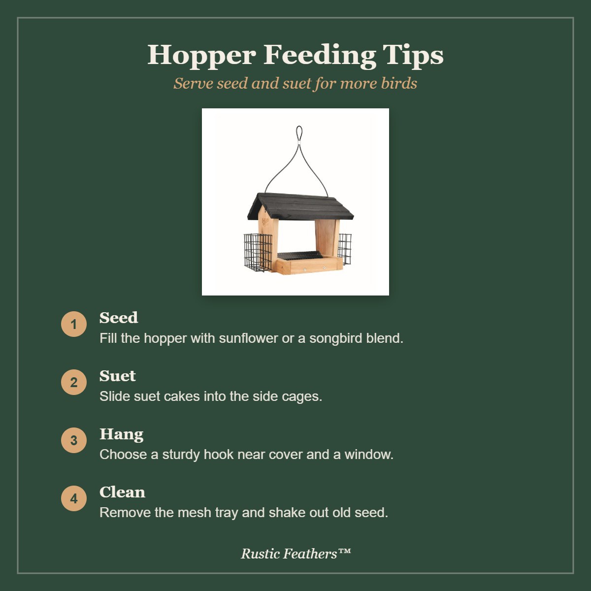 Hopper feeding tips: seed, suet, hanging and cleaning