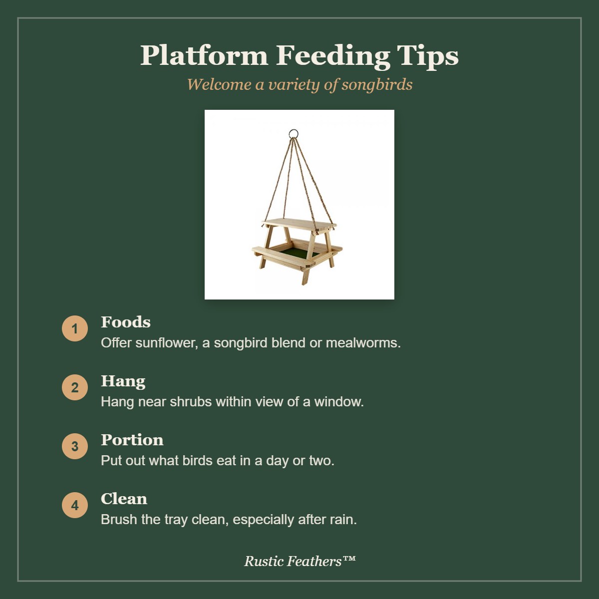 Platform Feeding Tips for the Picnic Table Bird Feeder