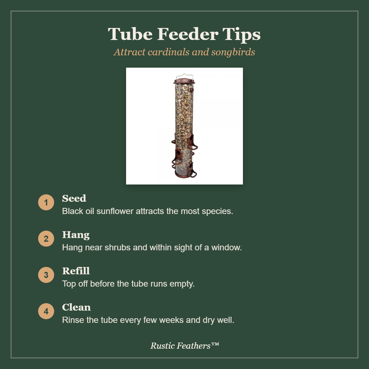 Tube feeder tips for cardinals and songbirds