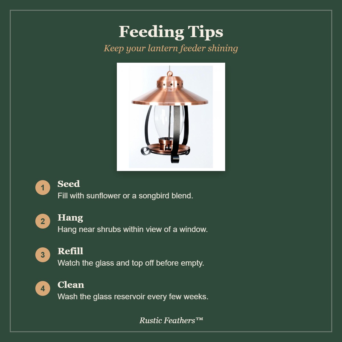 Feeding tips for the copper lantern feeder