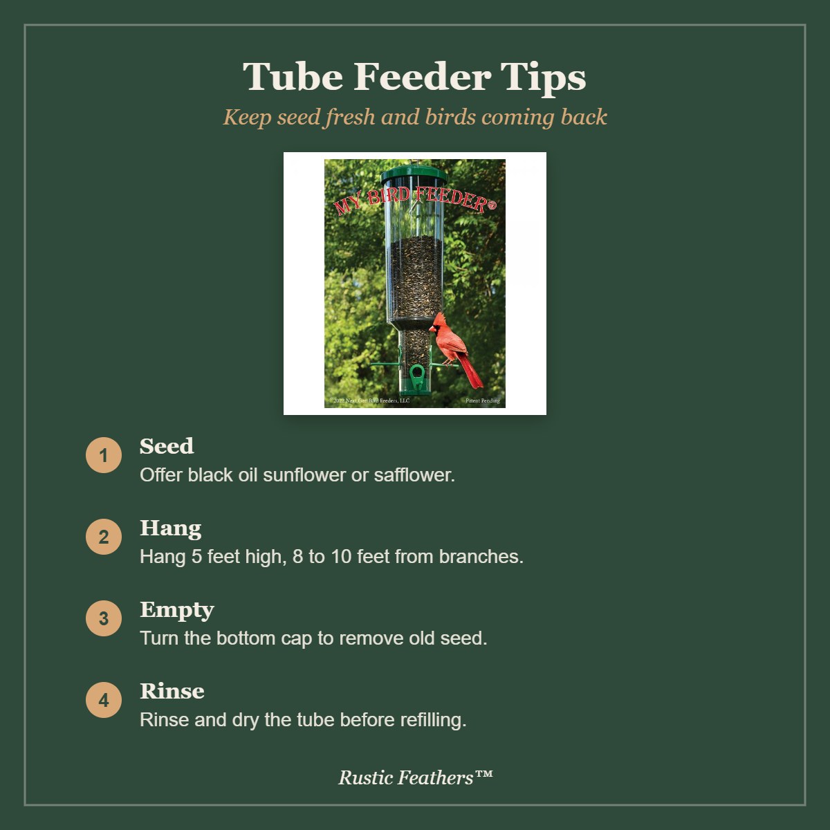 Tube feeder tips: seed choice, hanging height, emptying and rinsing