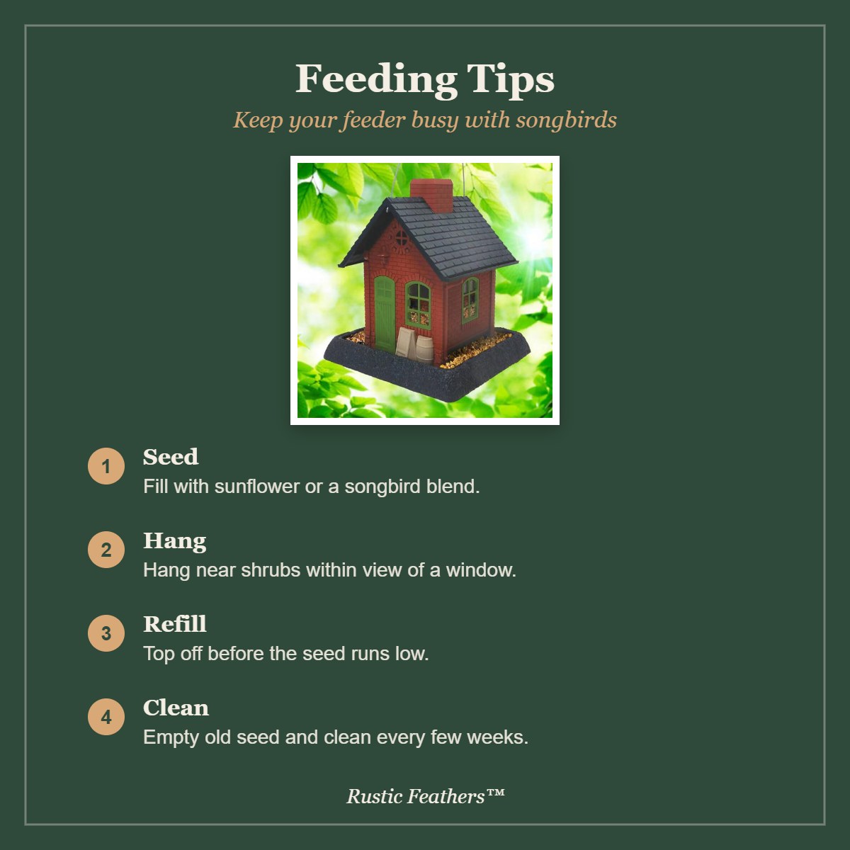 Feeding Tips for the Old Town Pub Bird Feeder