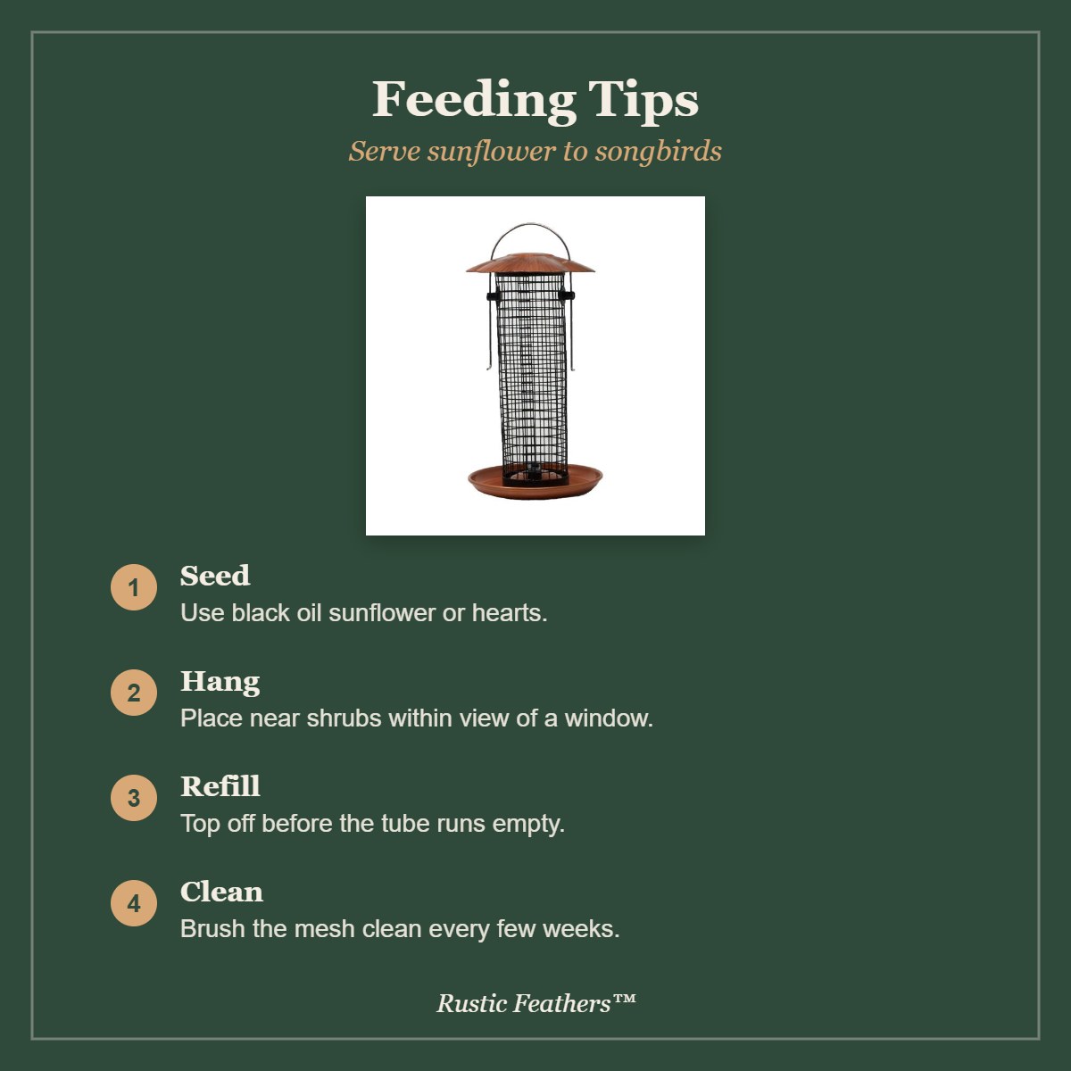 Feeding tips for the petite copper sunflower feeder