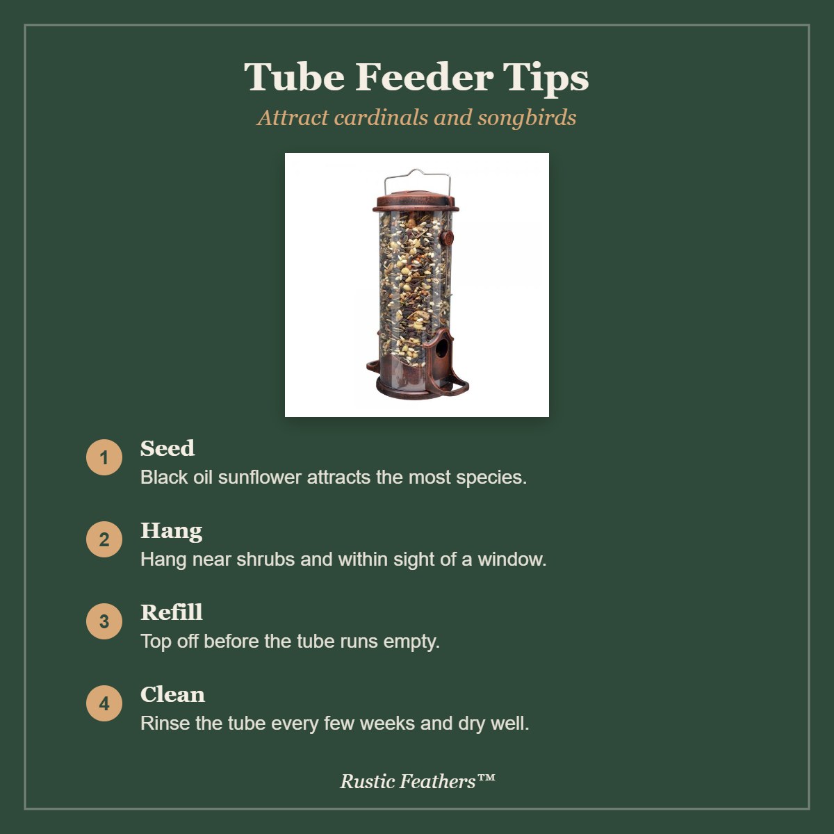 Tube feeder tips for cardinals and songbirds