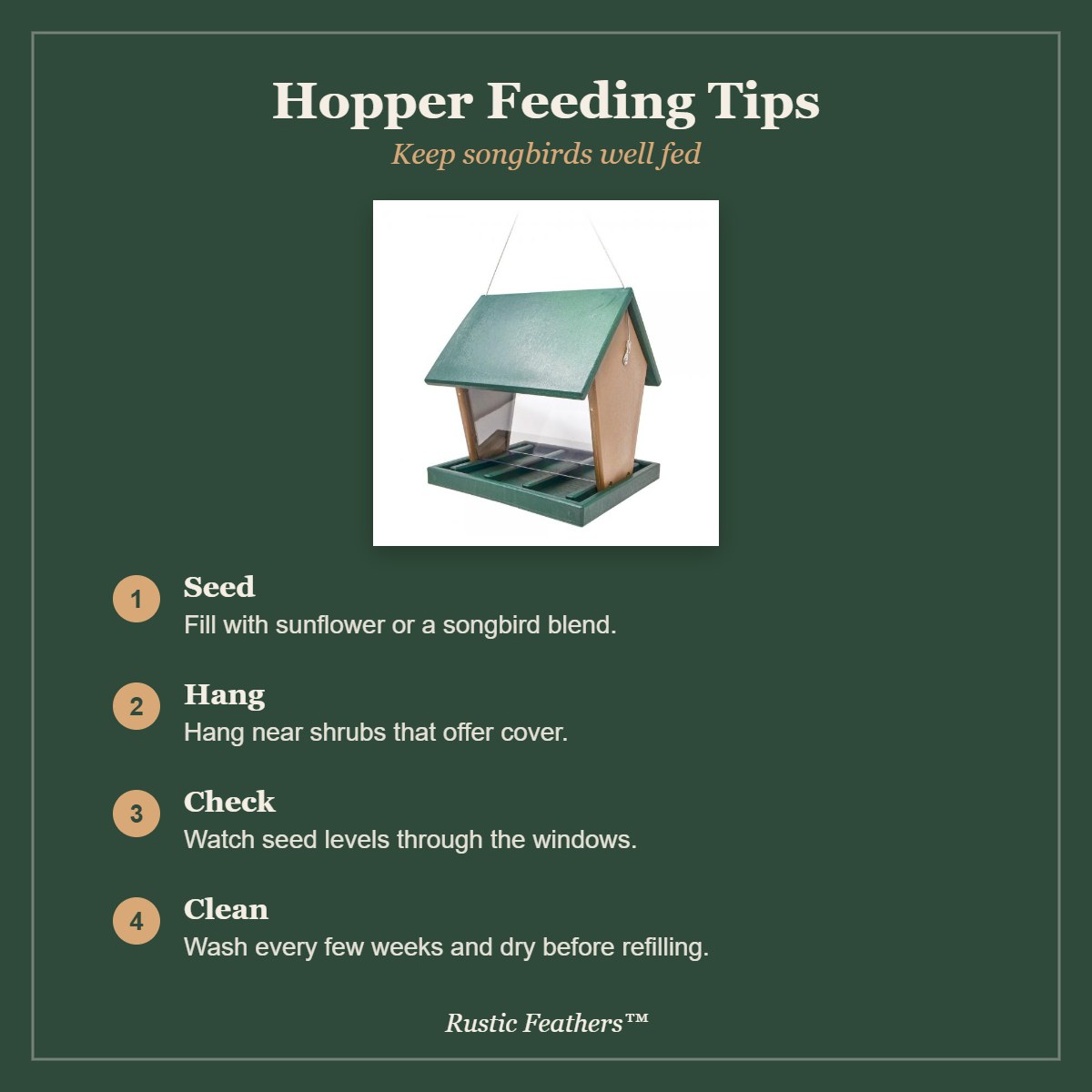 Hopper feeding tips: seed, hanging, checking levels and cleaning