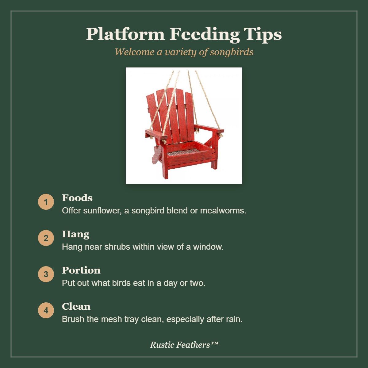 Platform Feeding Tips for the Red Adirondack Chair Feeder