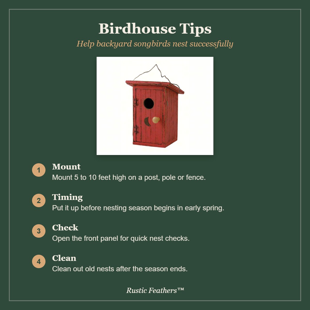 Birdhouse tips: mounting, timing, checks and cleaning