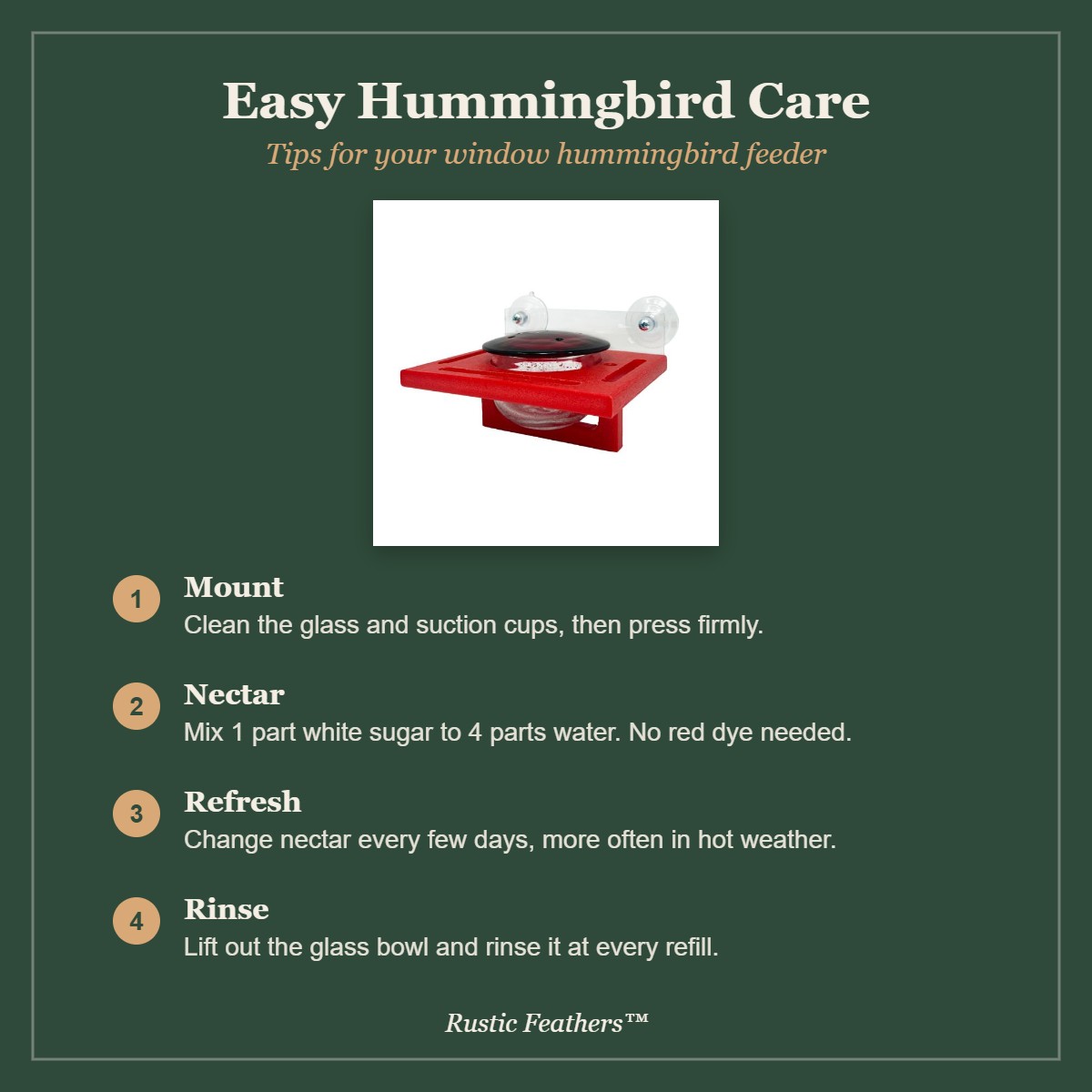 Window hummingbird feeder care tips: mount, nectar recipe, refresh and rinse
