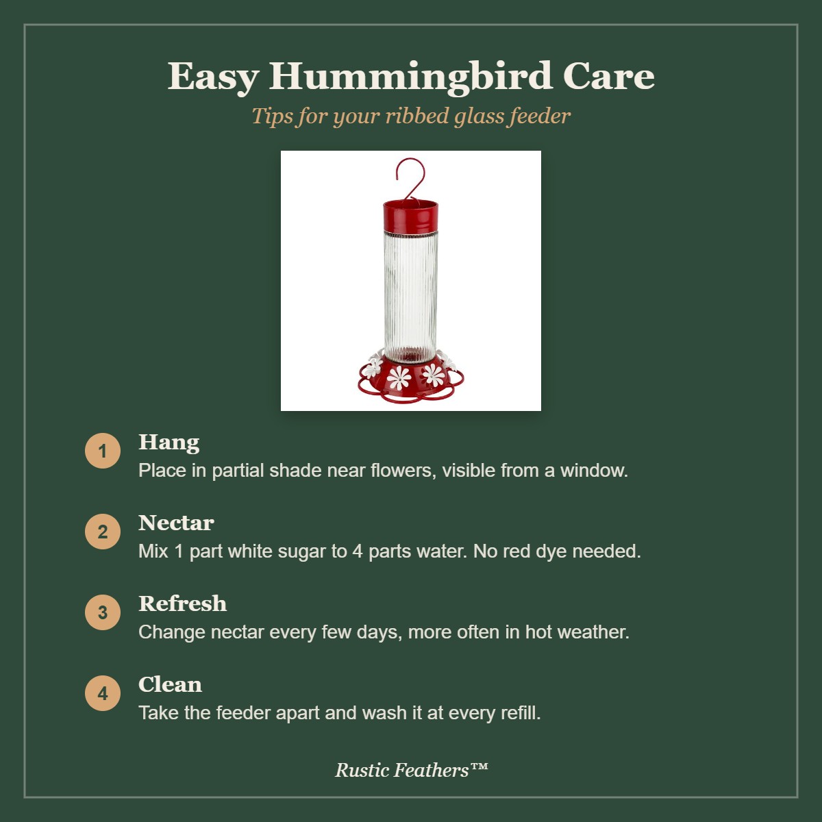 Hummingbird care tips: hang in partial shade, 1 to 4 nectar, refresh often, clean at every refill