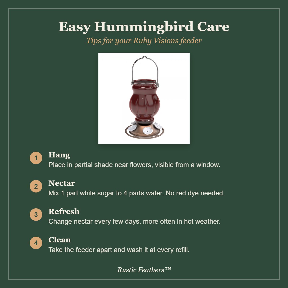 Hummingbird care tips