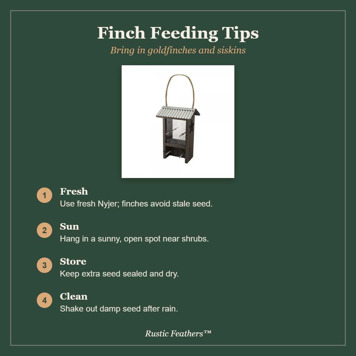 Finch Feeding Tips for the Farmhouse Finch Feeder