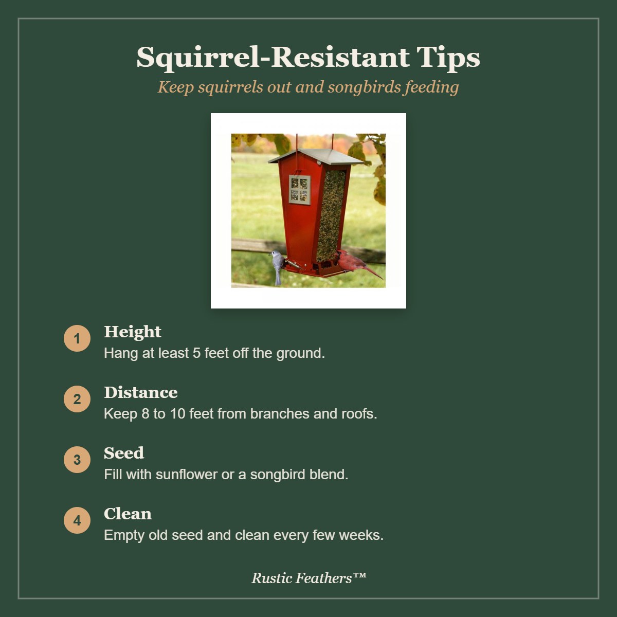 Squirrel resistant feeding tips for the Snack Shop feeder
