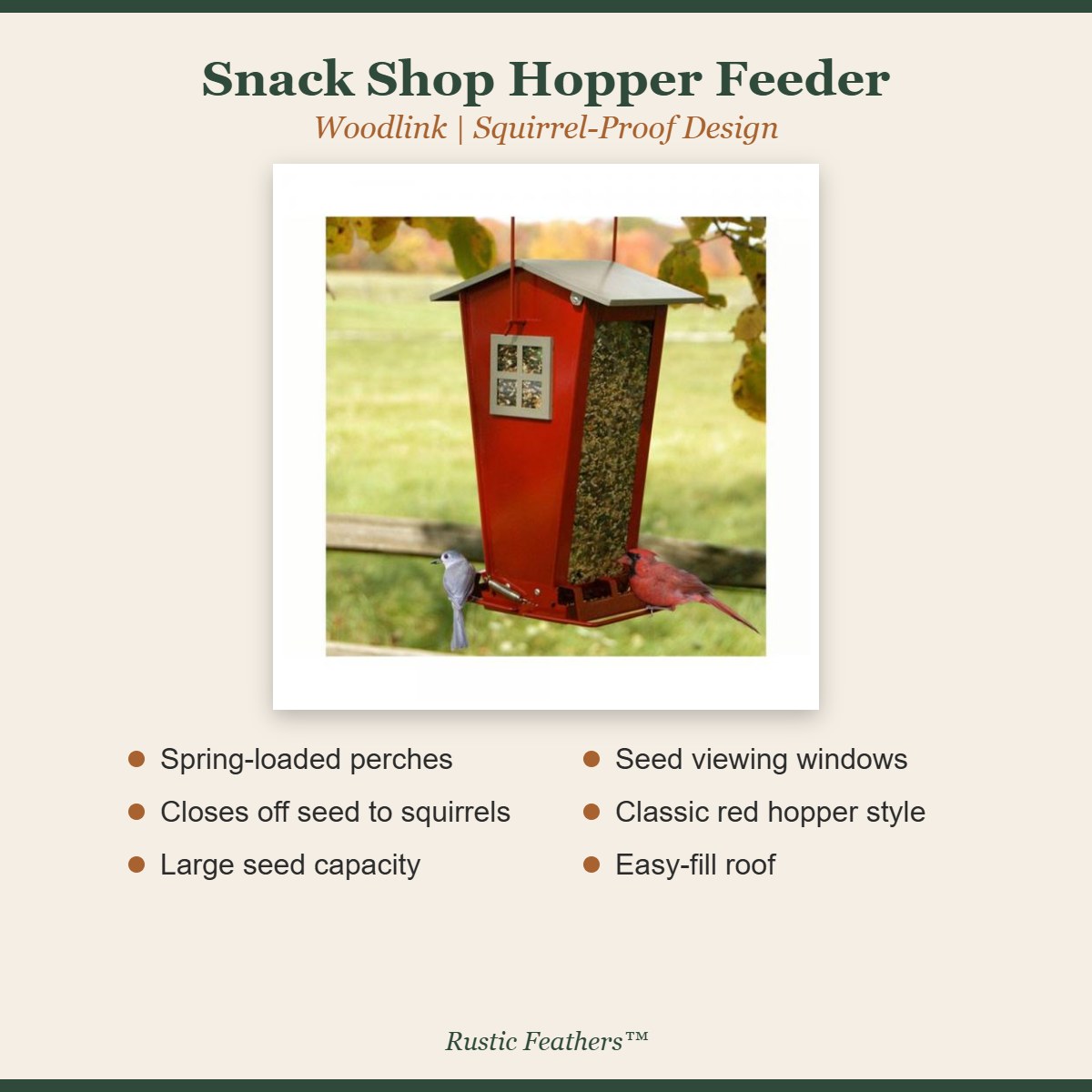 Snack Shop hopper feeder features: spring-loaded perches, squirrel-proof, large capacity, seed windows