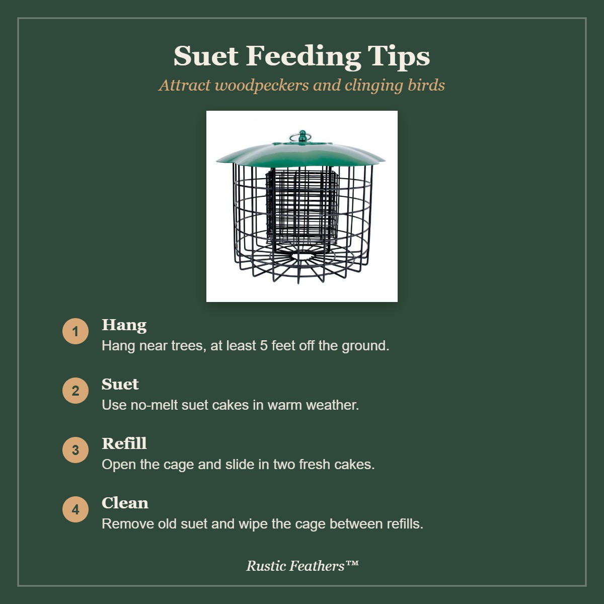 Suet feeding tips: hang near trees, no-melt suet, refill and clean
