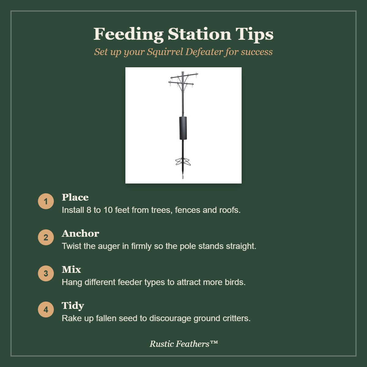 Feeding station tips: placement, anchoring, feeder variety and tidying fallen seed