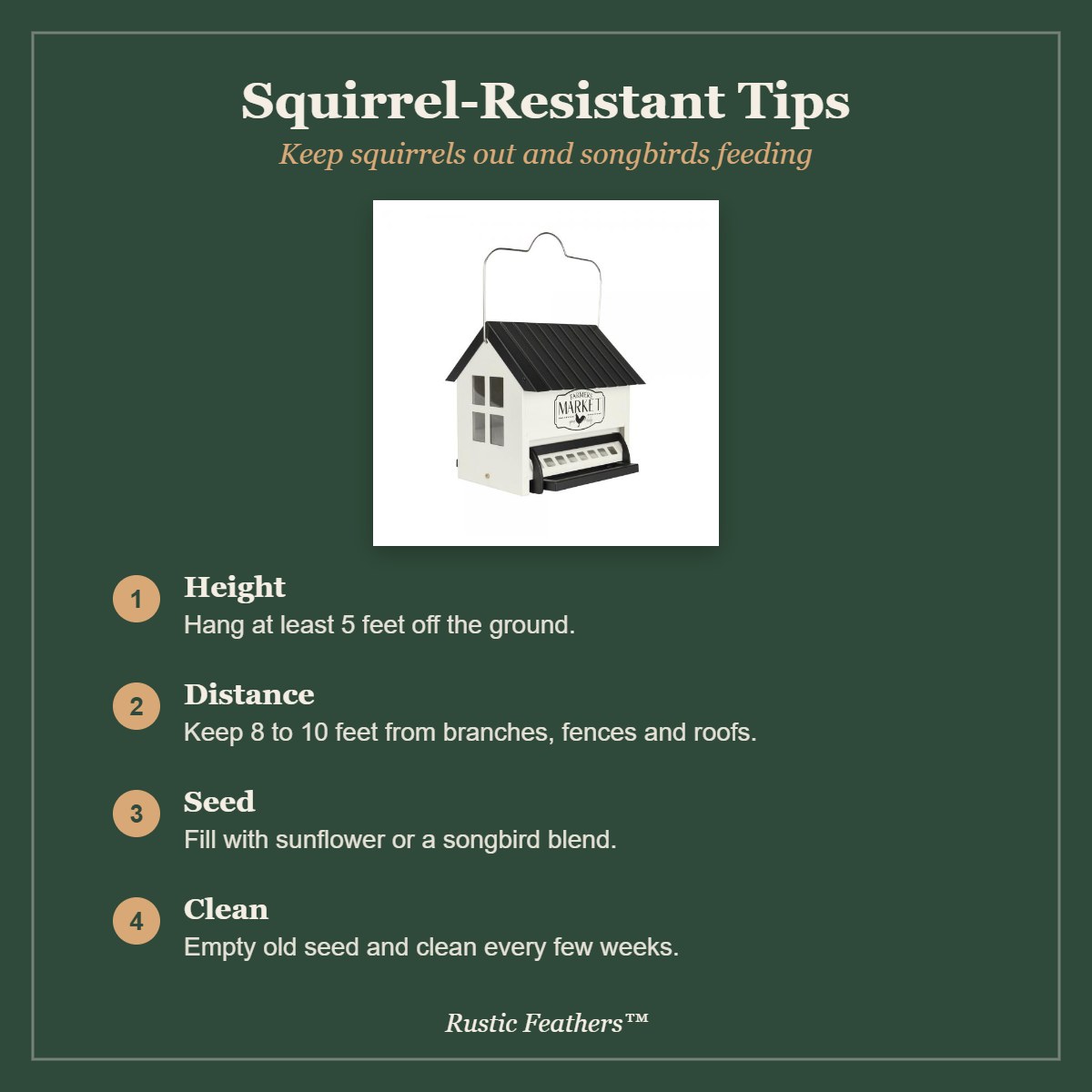 Squirrel resistant feeding tips for the Squirrel Shield hopper feeder