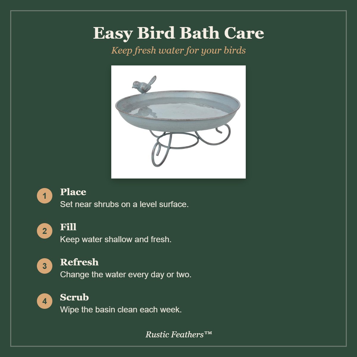 Bird bath care tips