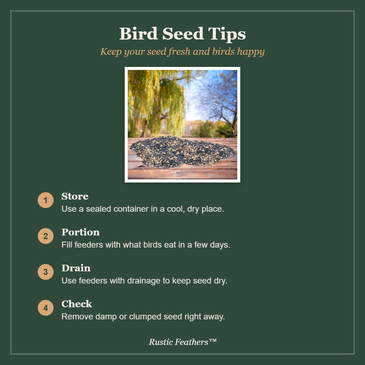 Bird seed tips: storage, portions, drainage and freshness